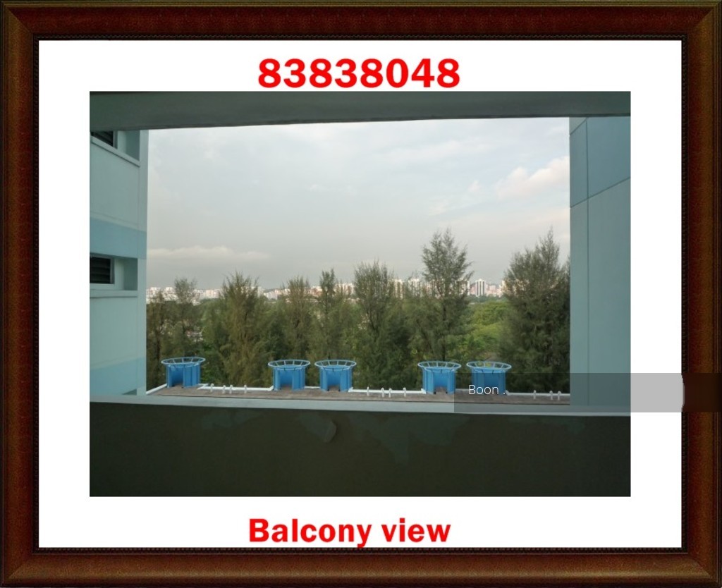 Blk 336 Tah Ching Road (Jurong West), HDB Executive #112232372